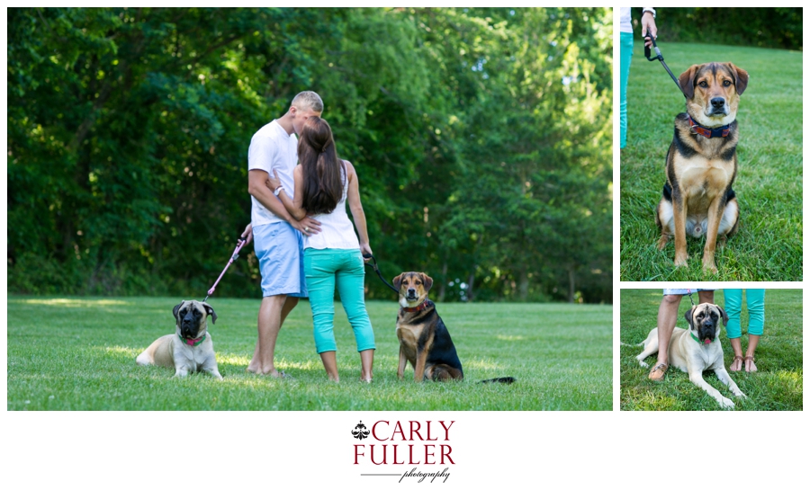 Quiet Waters Engagement - Annapolis Engagement Photographer - Park Engagement with dogs