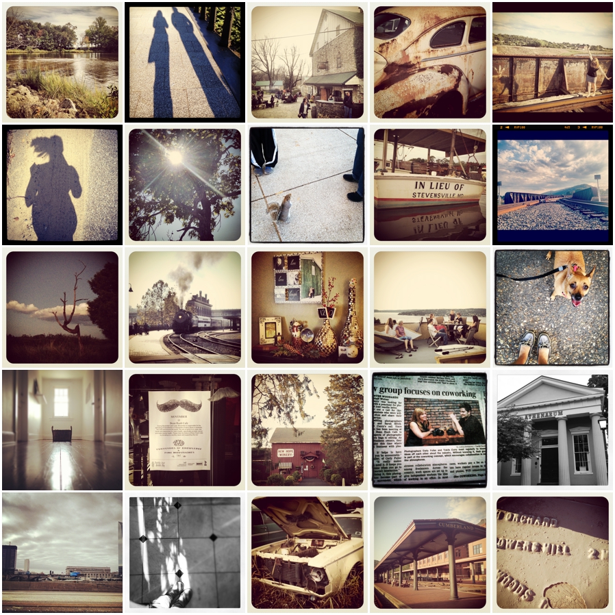 Brown Instragram Photographs - Annapolis Photographer's Favorite Things