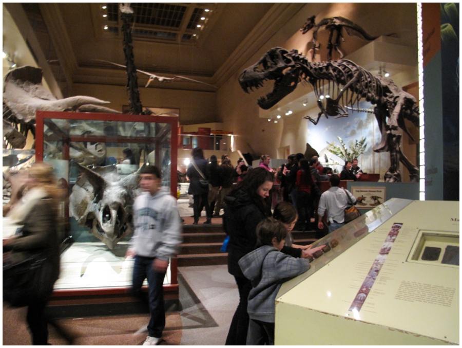 Smithsonian Museum Family Visit - Washington DC photographs