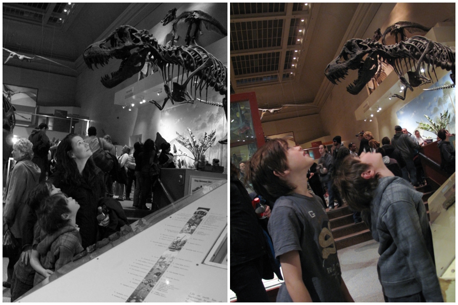 Dinosaurs & Smithsonian Museum Family Visit - Washington DC photographs