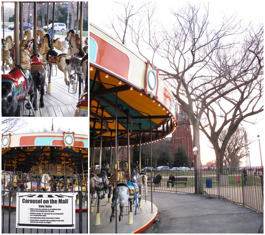 Washington DC Carousel Photographs - Day of fun with the photographer