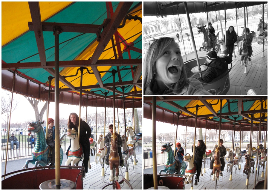 Carousel Photographs - Day of fun for a photographer