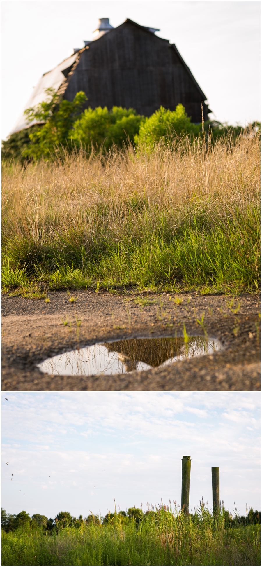 Picking Photography Location - Portrait Session Location - Eastern Shore Photographer