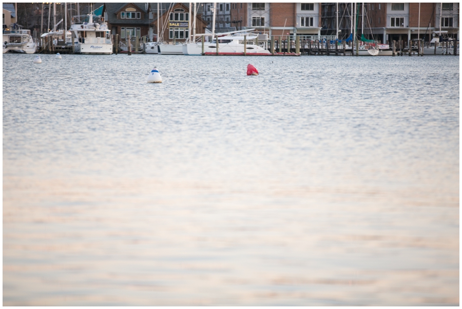 Annapolis City Dock Water - Annapolis Photographer