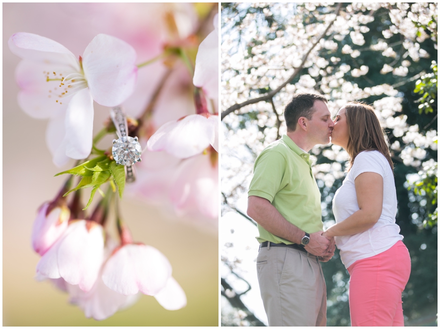 Washington DC Cherry Blossom Engagement Photograph - Washington DC Cherry Blossom Engagement Ring - Franklin Delanor Roosevelt Memorial