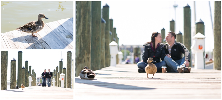 Annapolis Proposal Photographs - Annapolis City Dock Engagement Photographer