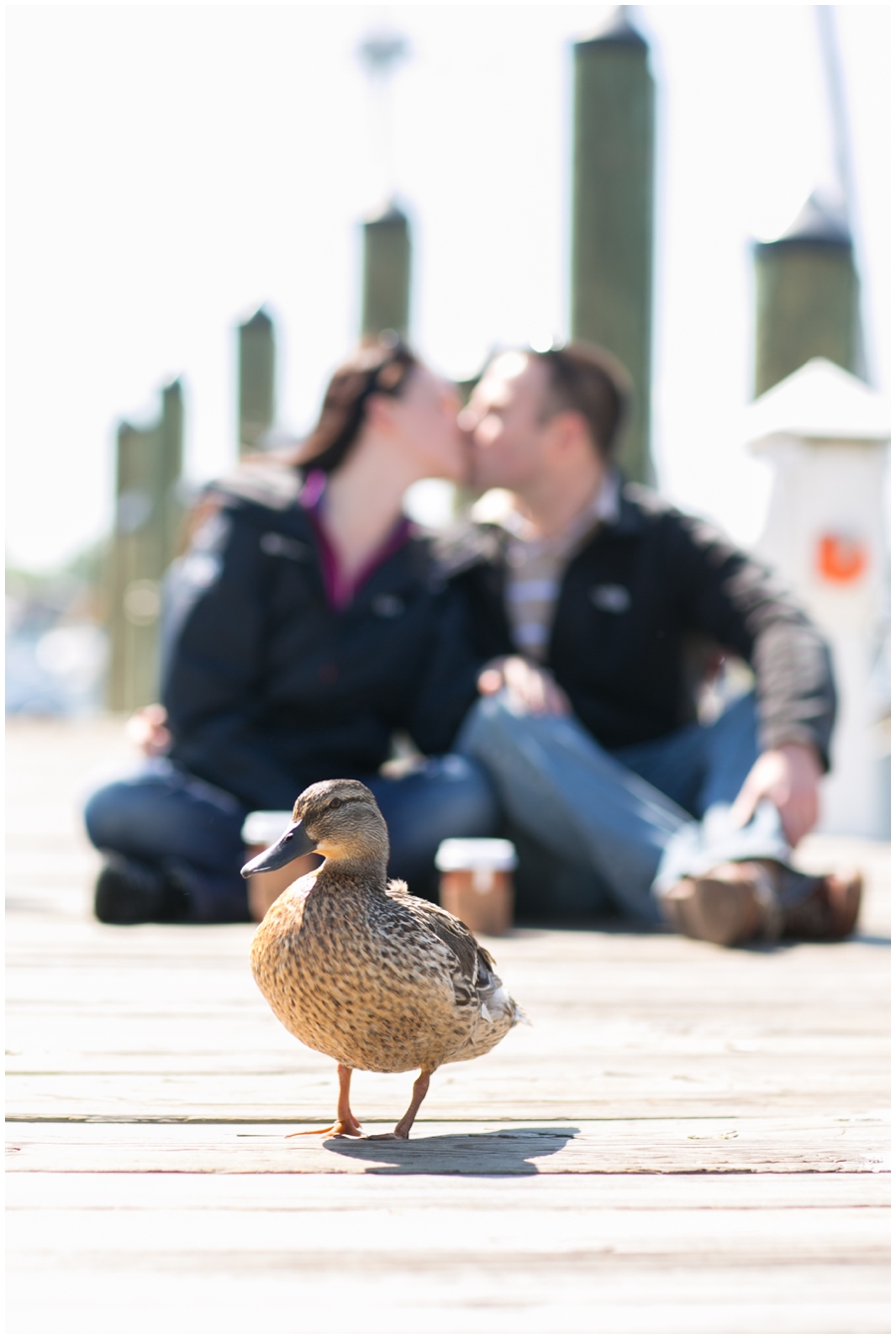 Annapolis Proposal Photographs - Annapolis City Dock Engagement Photographer