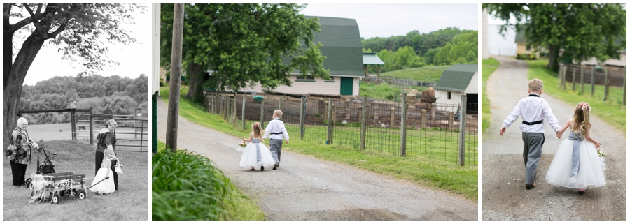 Horse Farm wedding photograph - Davidsonville Country Farm Wedding Photographer