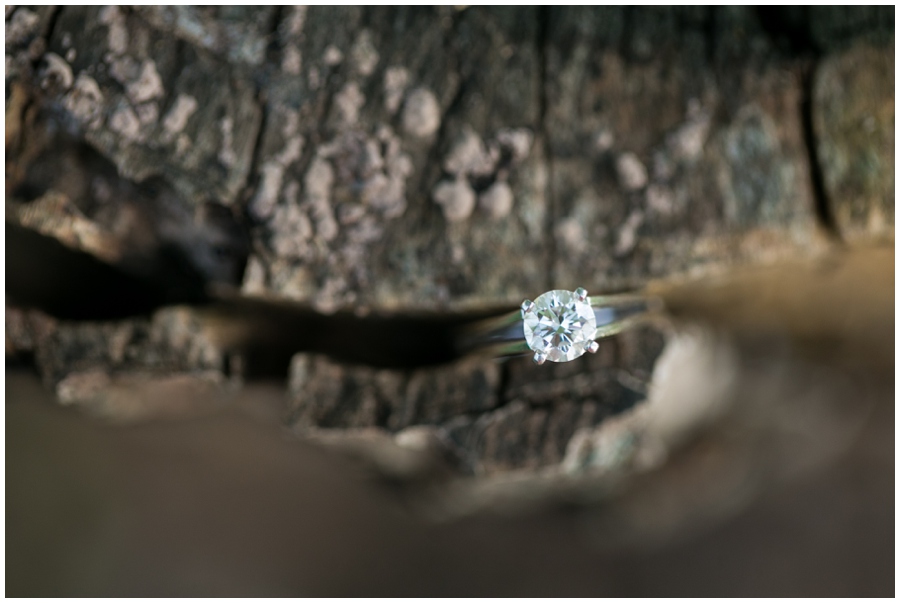 Howard County Conservancy Engagement Ring Detail