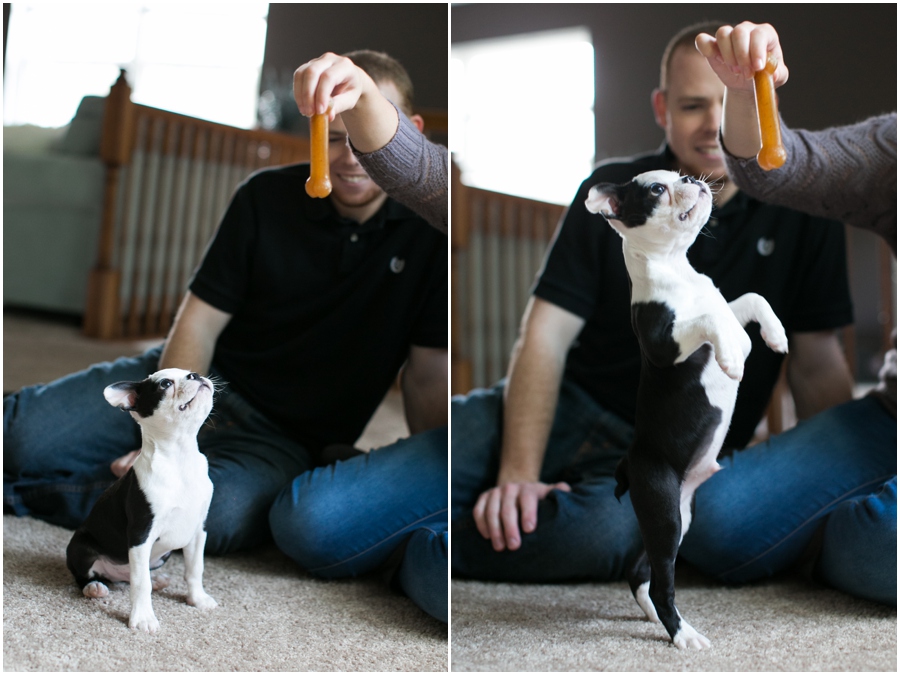 Pasadena Puppy Portrait - Professional Lifestyle Photographer