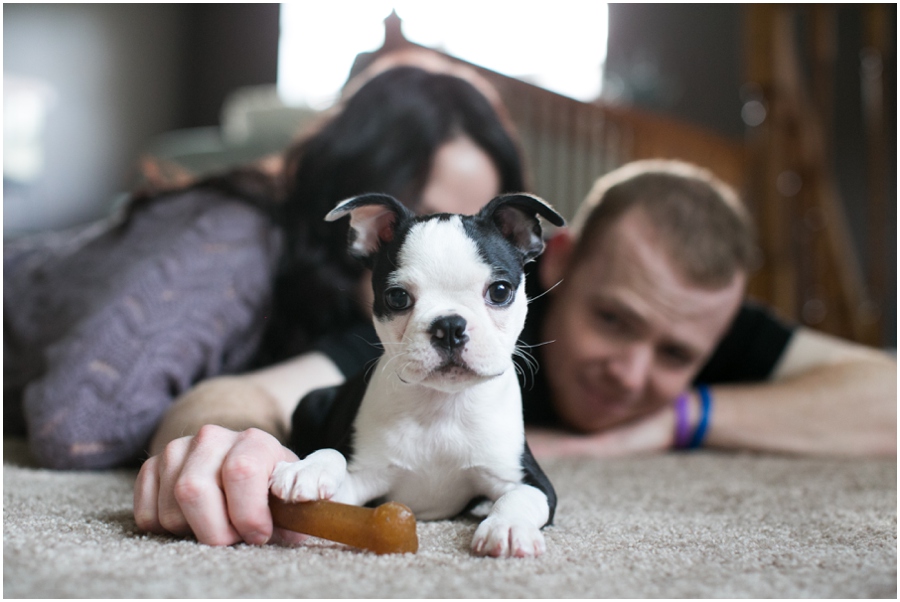 Pasadena Puppy Portrait - Professional Lifestyle Photographer