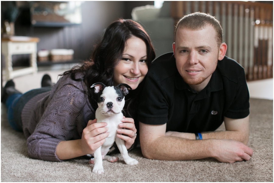 Annapolis Puppy Portrait - Professional Lifestyle Photographer - Boston Terrier Puppy