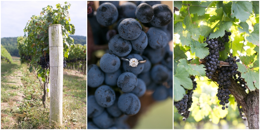 Breaux Vineyard Engagement Detail - Red Wine Grape