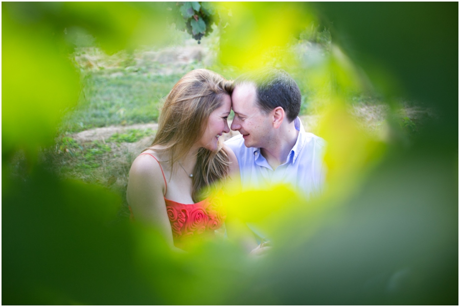 Breaux Vineyard Engagement Love Portrait - Red engagement dress