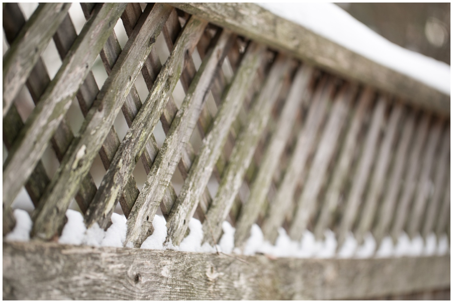 Annapolis Photographer Walk - canon 100mm 2.8 macro