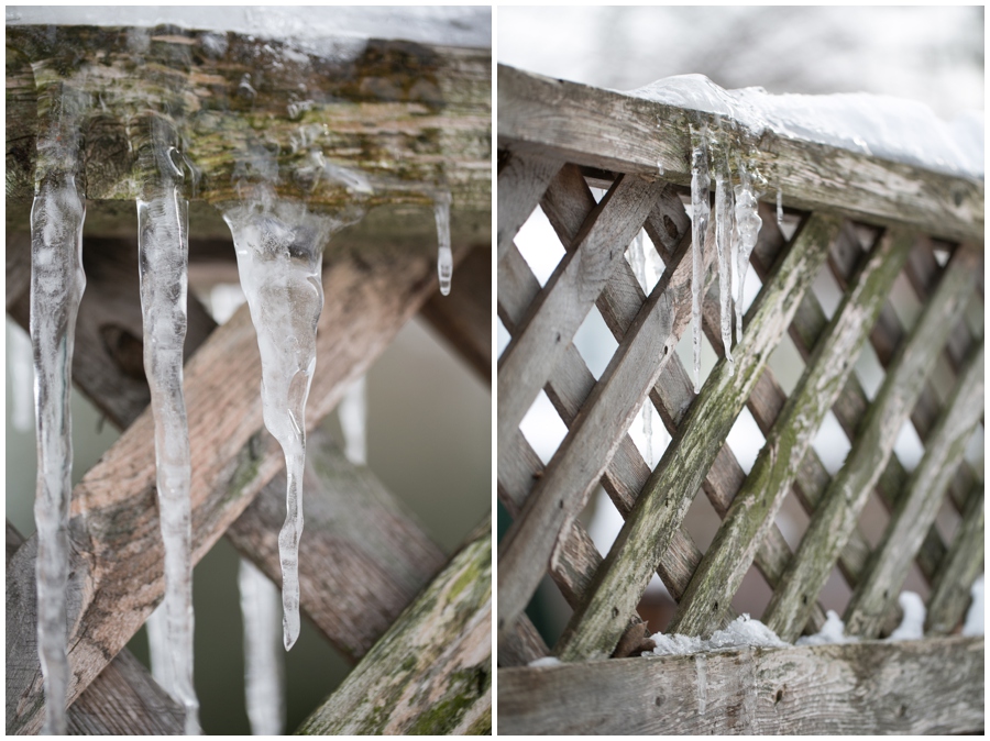 Annapolis Photographer Walk - canon 100mm 2.8 macro