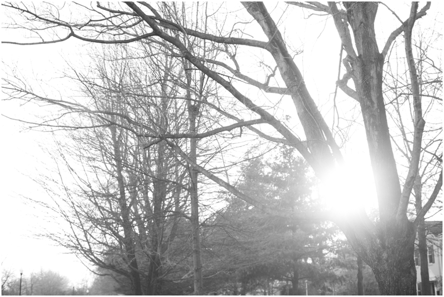 New Project - Annapolis Professional Photographer - Sunflare black and white image