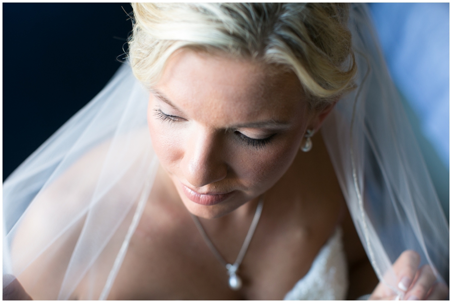 Annapolis Marriott Behind the Veil - Martina Liana bridal portrait