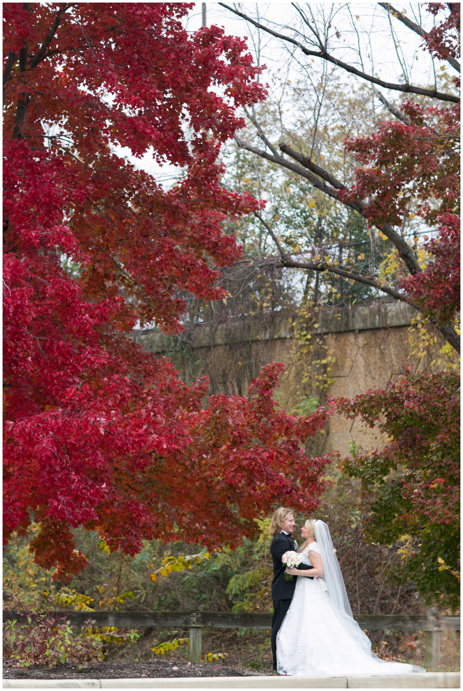 Sheraton Annapolis Winter Wedding Photographer - Red tree wedding photograph