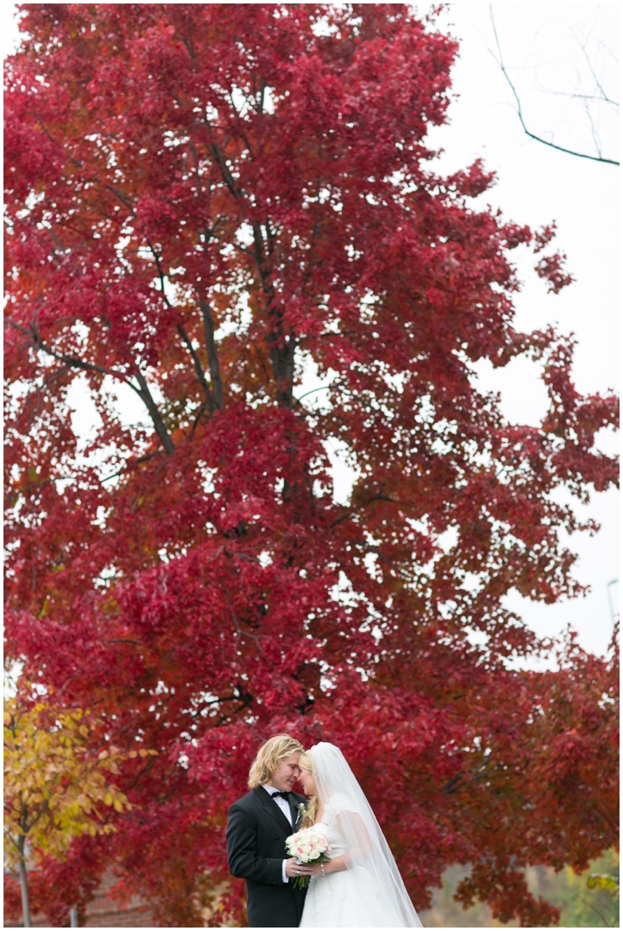 Sheraton Annapolis Winter Wedding Photographer - Red tree love portrait