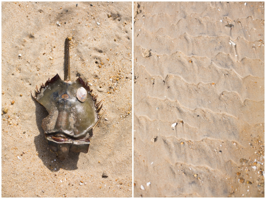 Rehobeth Beach Photographs - Beach Details