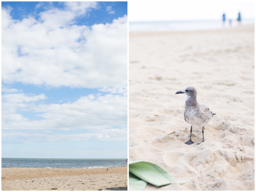 Rehobeth Beach Photographs - Beach Portrait