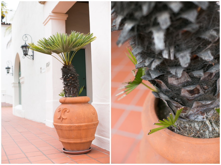 Santa Barbara Street Photographs - Traveling Elopement Photographer