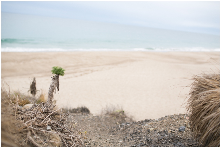 Traveling Photographer - Malibu Beach Photographs