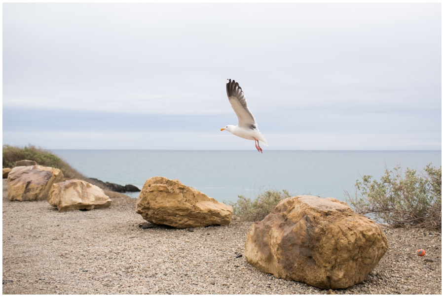 Maryland Traveling Photographer - Malibu Beach Photographs