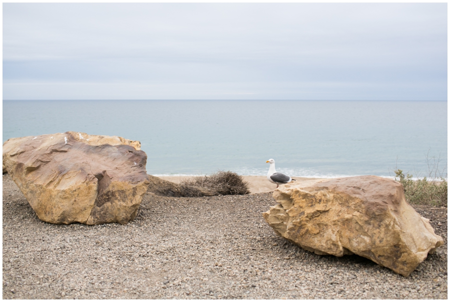 Maryland Traveling Wedding Photographer - Malibu Beach Photographs