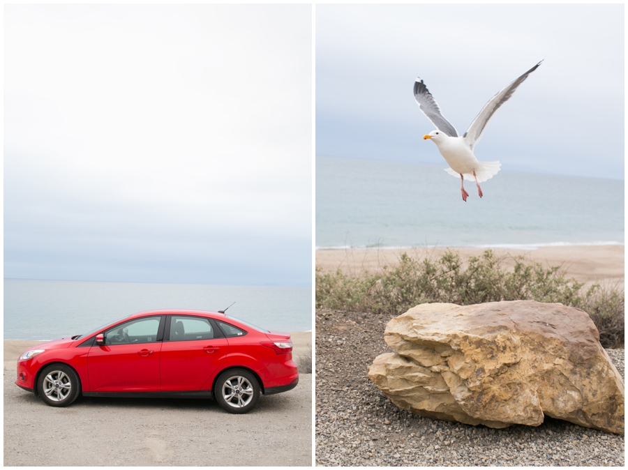 Maryland Traveling Wedding Photographer - Malibu Beach Photographs