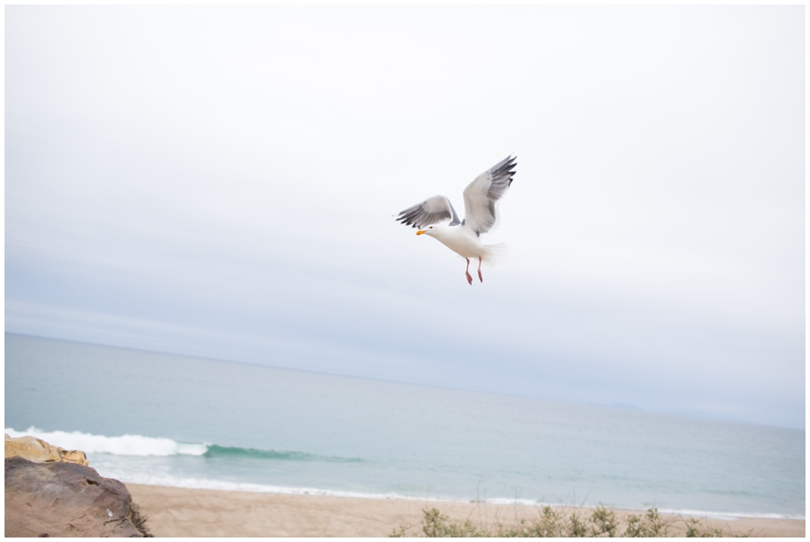 Maryland Traveling Wedding Photographer - Malibu Beach Photographs