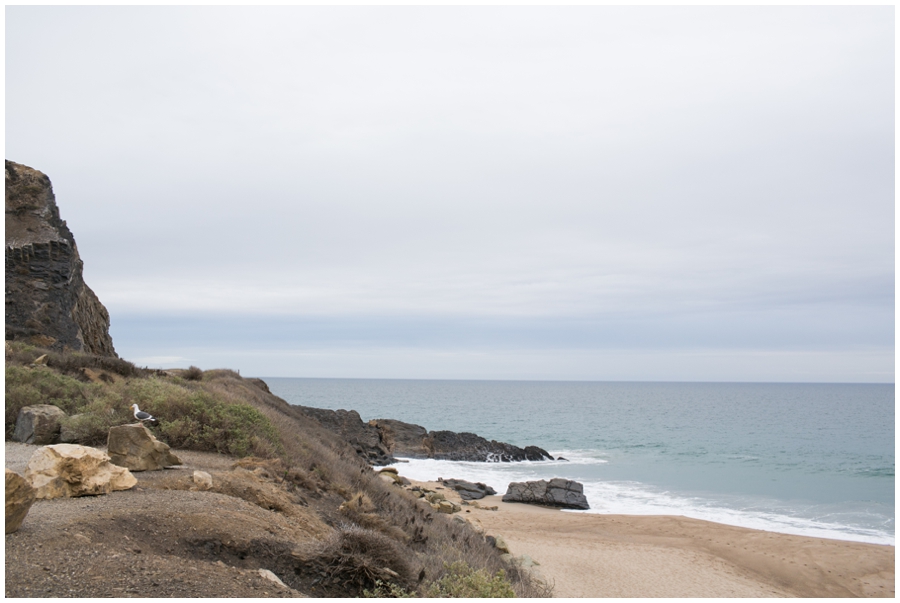 Maryland Traveling Wedding Photographer - Malibu Beach Photographs