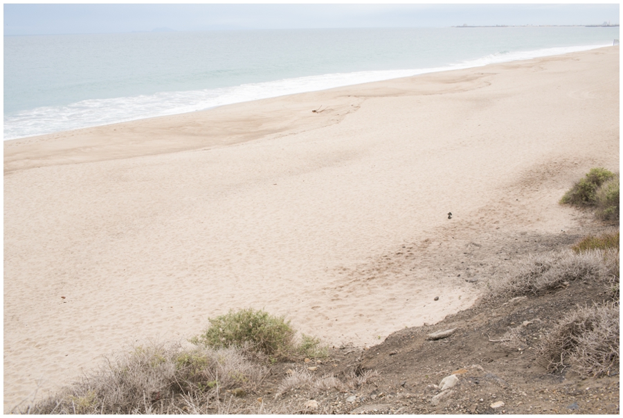 Maryland Traveling Wedding Photographer - Malibu Beach Photographs