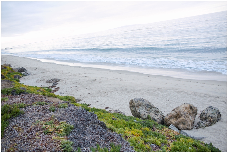 Maryland Traveling Photographer - Malibu Beach Photographs