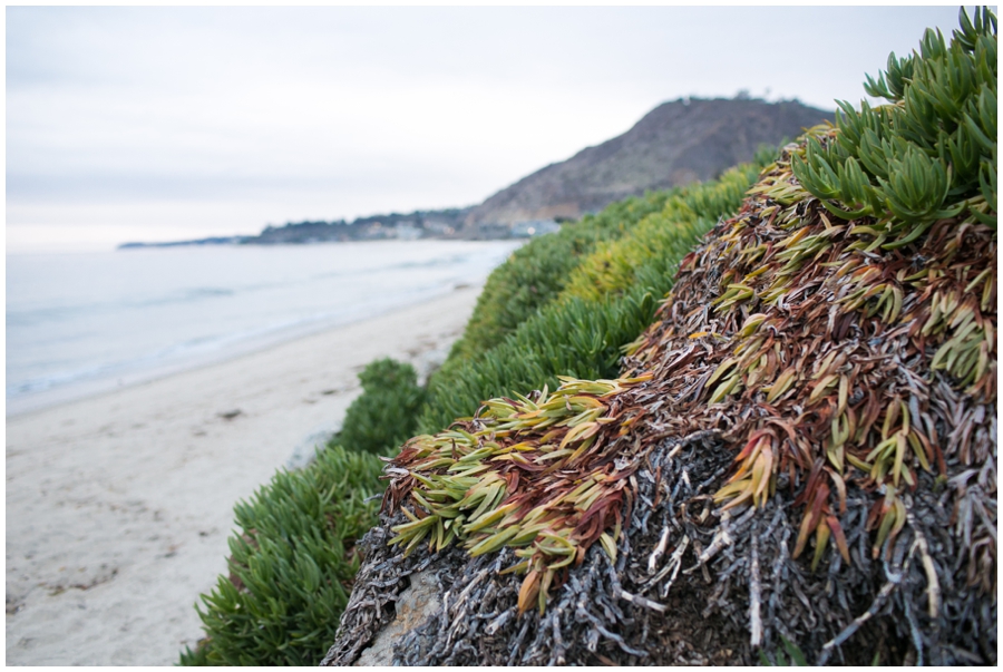 Maryland Traveling Photographer - Malibu Beach Photographs