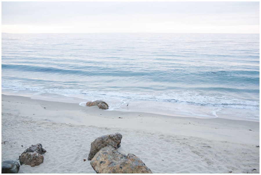 Maryland Traveling Wedding Photographer - Malibu Beach Photographs