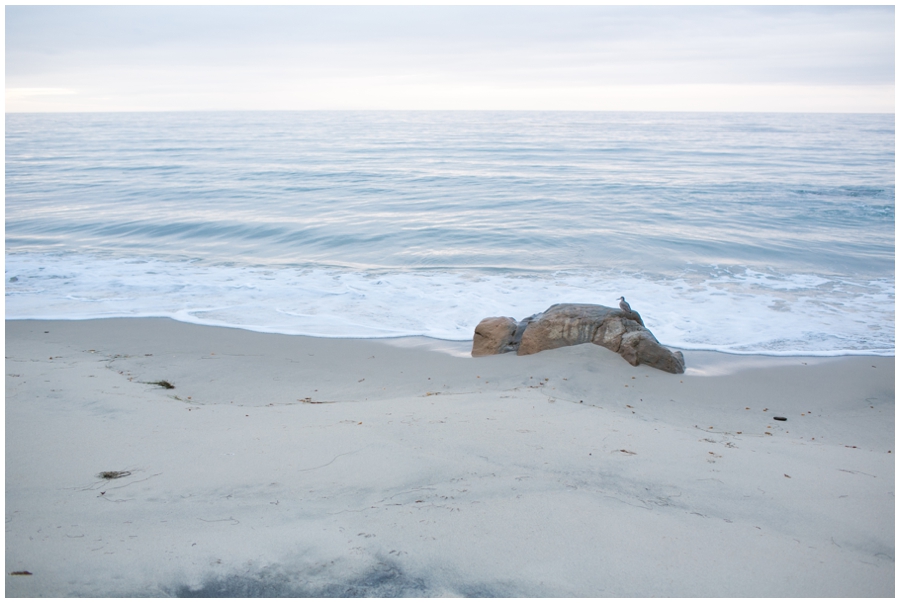 Maryland Traveling Wedding Photographer - Malibu Beach Photographs