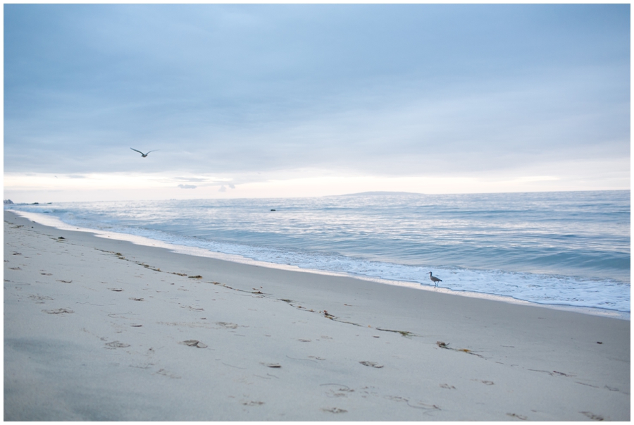 Maryland Traveling Wedding Photographer - Malibu Beach Photographs