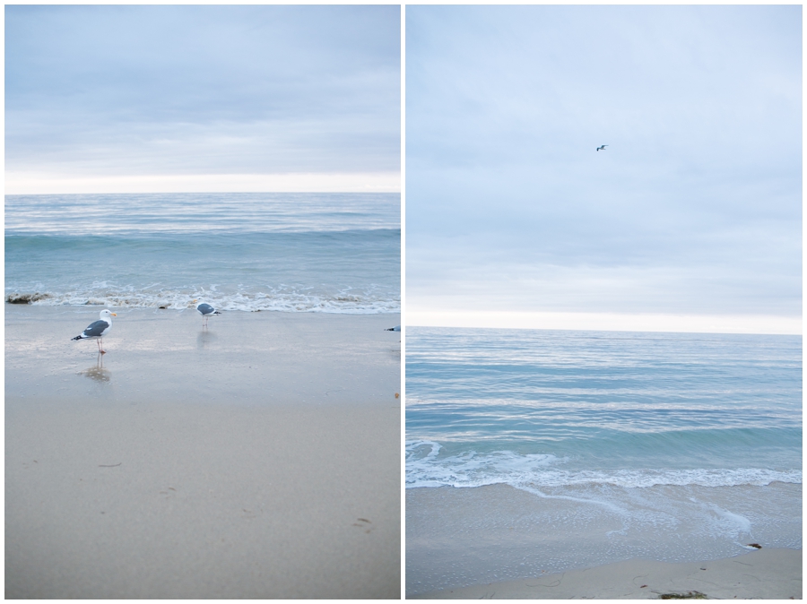 Maryland Traveling Wedding Photographer - Malibu Beach Photographs