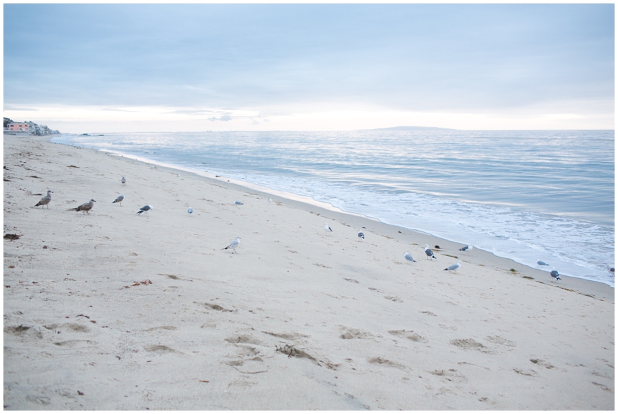 Maryland Traveling Wedding Photographer - Malibu Beach Photographs