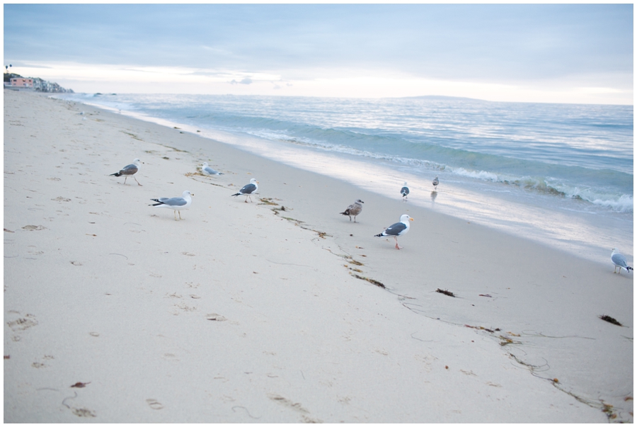 Maryland Traveling Wedding Photographer - Malibu Beach Photographs