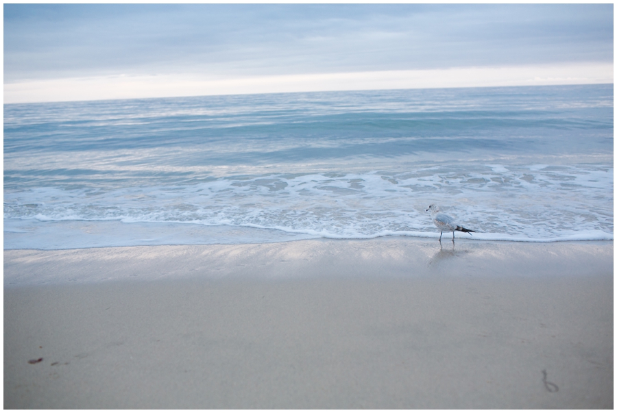 Maryland Traveling Wedding Photographer - Malibu Beach Photographs