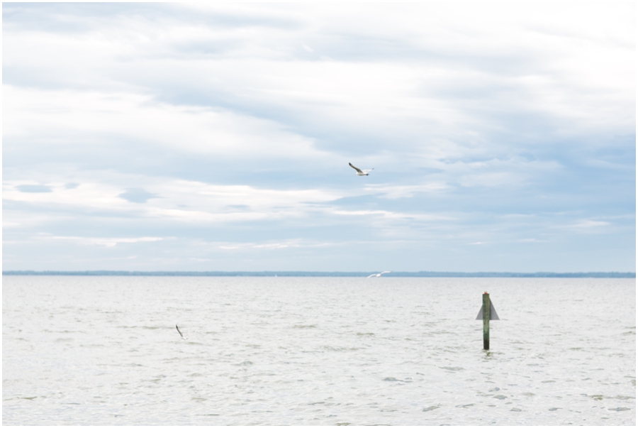 Silver Swan Bayside Wedding Sunset - Waterfront Wedding Venue