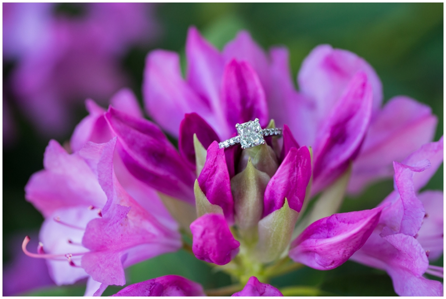 Downtown Annapolis Spring Engagement Photographer