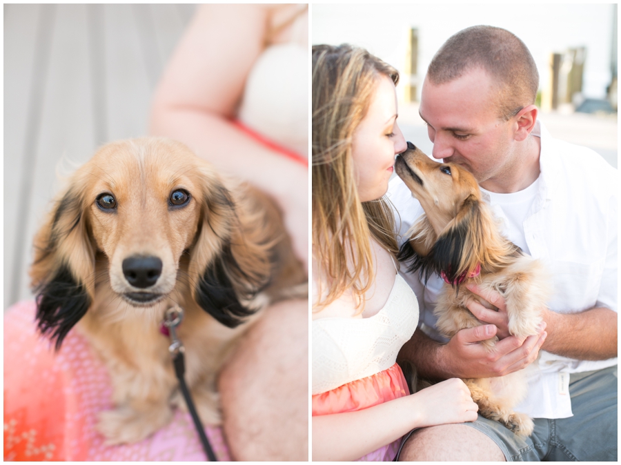 Maryland Doggy Engagement Session - Spring love portrait