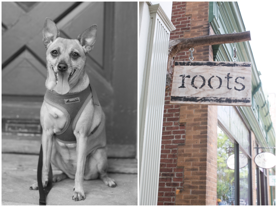 Roots Boutique - Chestnut Hill Pa Photographer - Chestnut Hill Street Photography