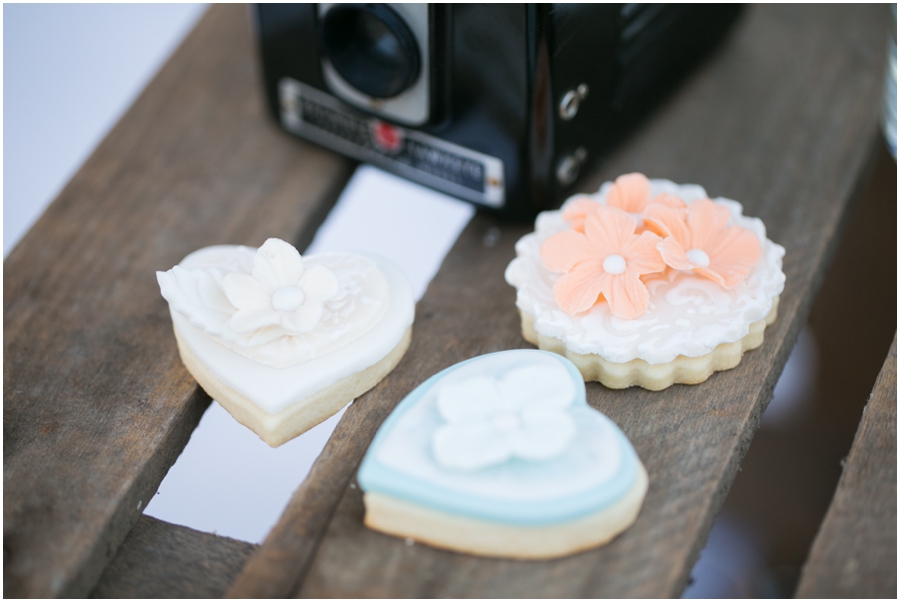 Just Simply Delicious Wedding Cookies - Styled Picnic Engagement Photograph