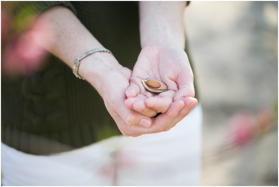 Saint Paul Vineyard Engagement - Destination Anniversary Photographer