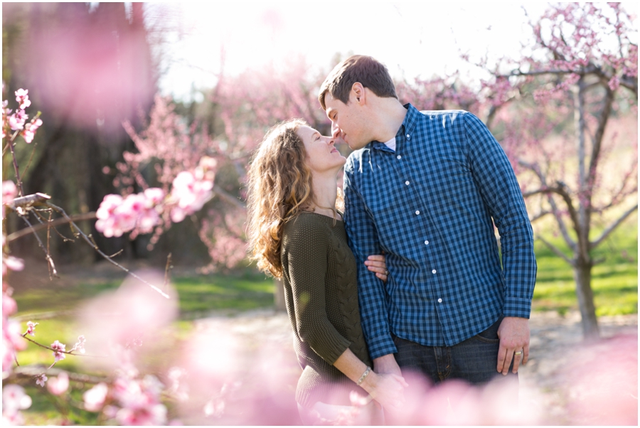 North Carolina Vineyard Engagement - Destination Anniversary Photographer